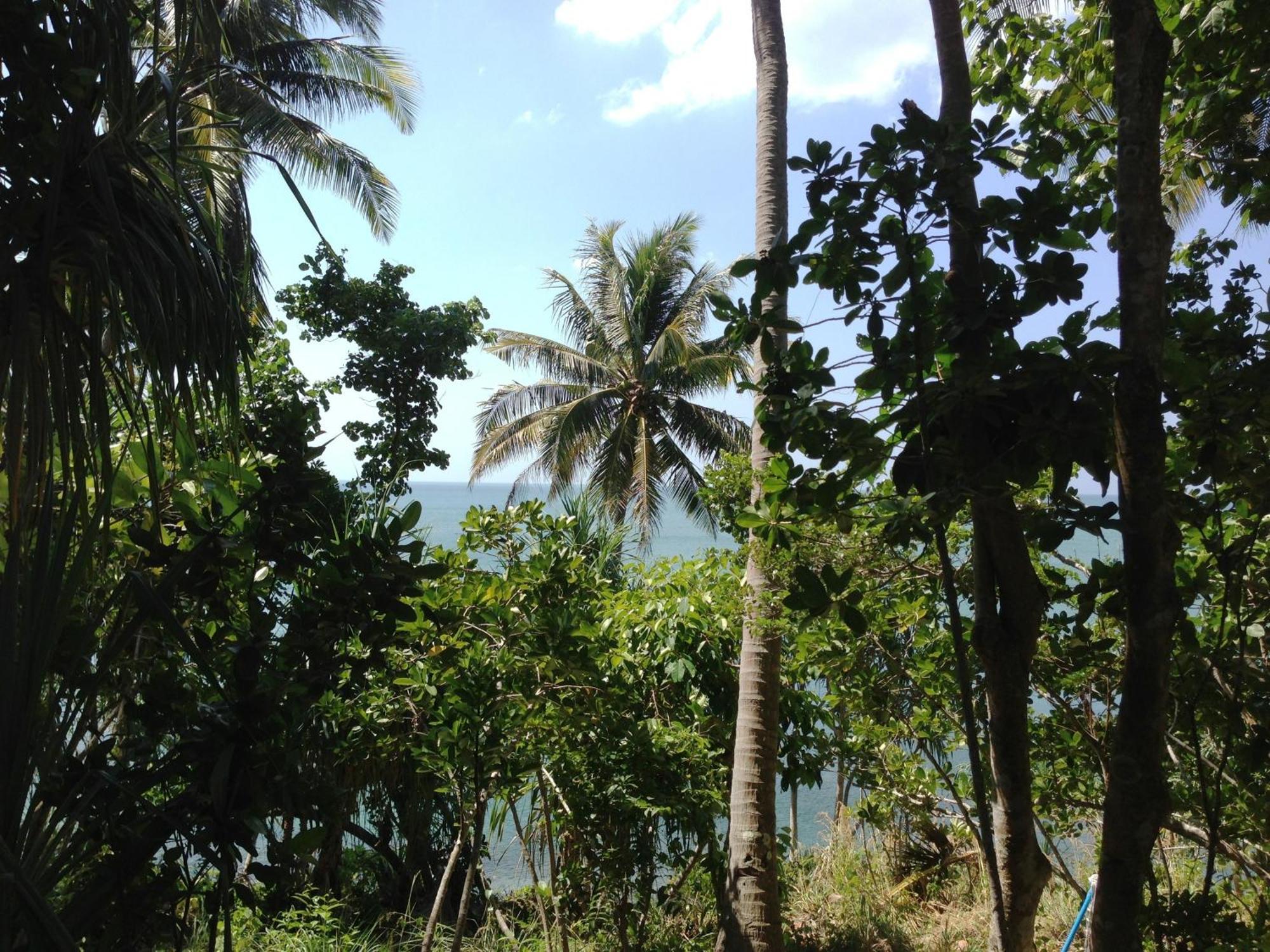 The Narima - Sha Plus Koh Lanta Bagian luar foto