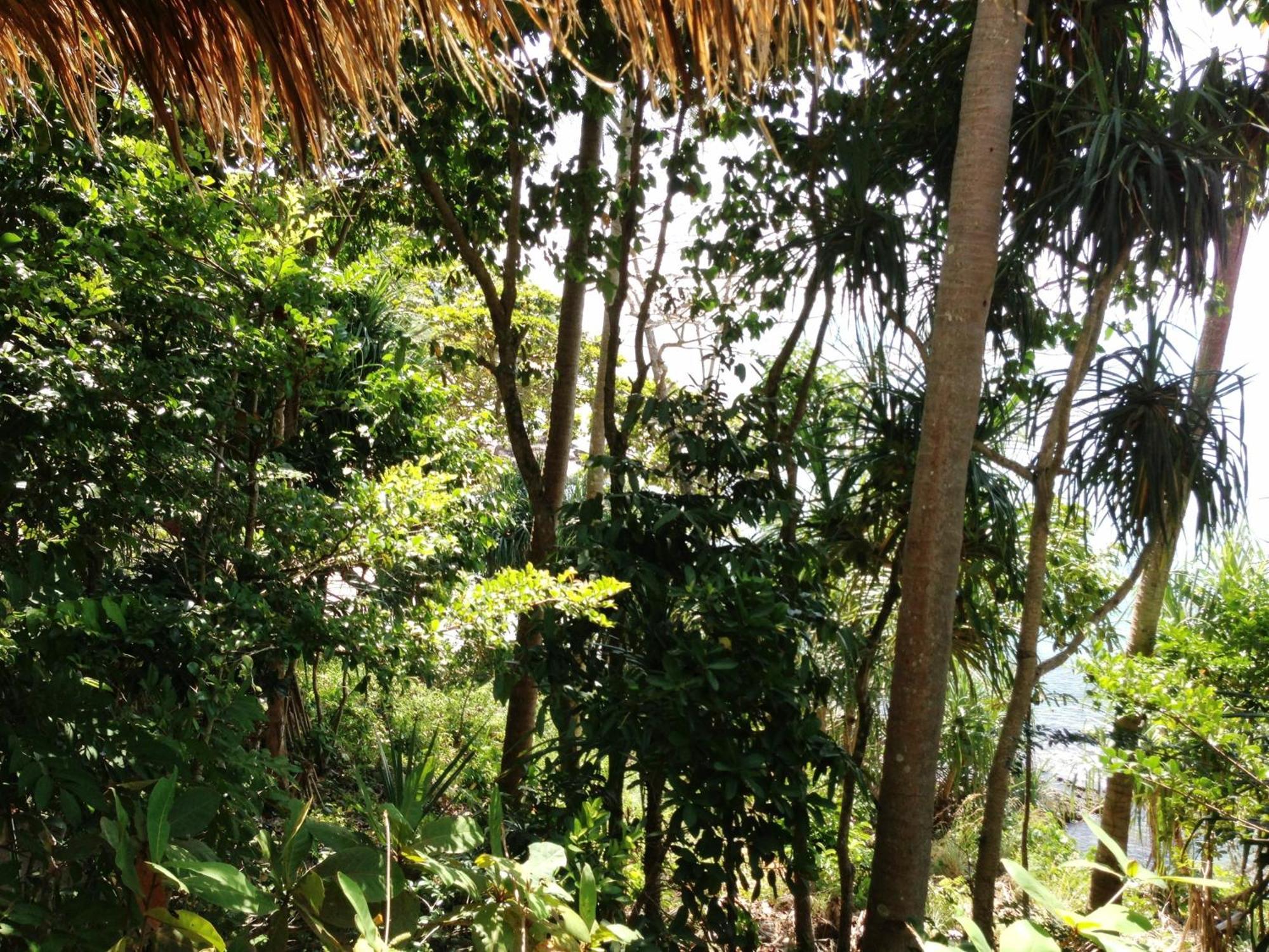 The Narima - Sha Plus Koh Lanta Bagian luar foto
