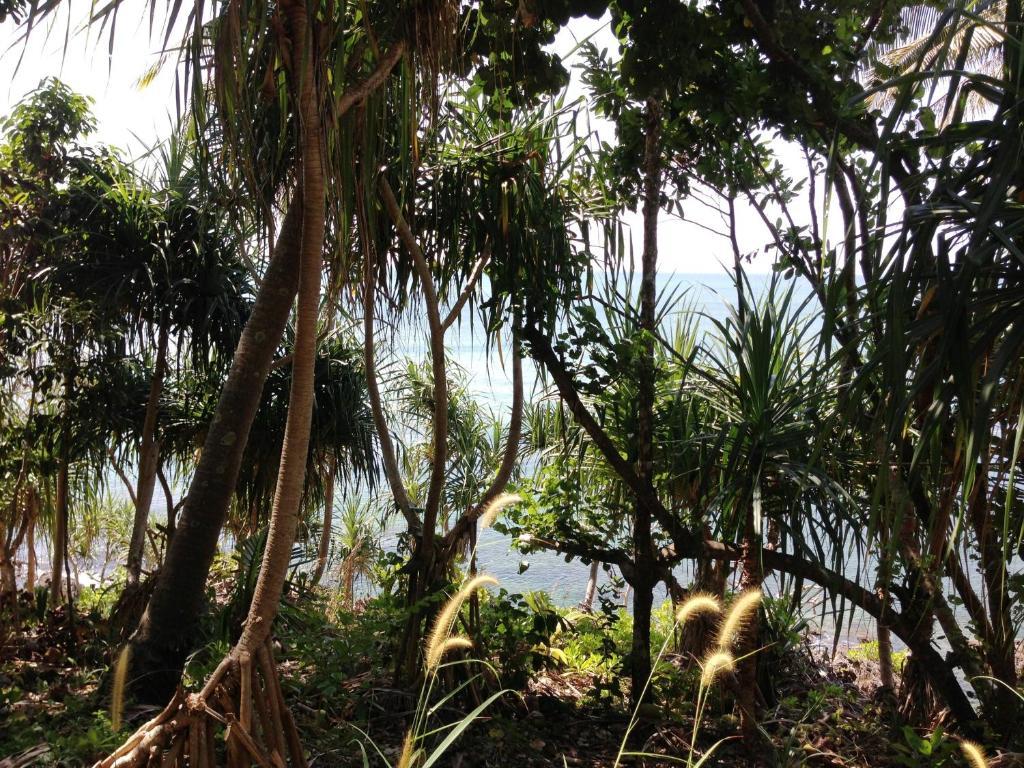 The Narima - Sha Plus Koh Lanta Bagian luar foto